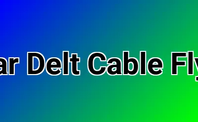 Rear Delt Cable Flyes