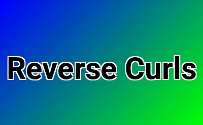 Reverse Curls